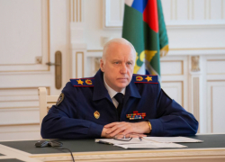 Многодетные волгоградцы попросили у Бастрыкина землю с коммуникациями 