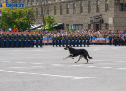 «Депутаты после победы в Волгограде забыли о Сталинграде»: политолог 