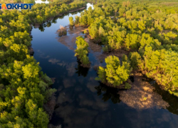 Стратегически важный для региона проект на 2,4 миллиарда рублей запускают под Волгоградом