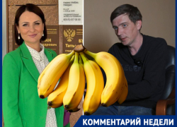 Брюнетку из Госдумы обвинил в банановой безграмотности известный политолог
