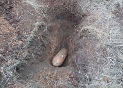 Две фугасные бомбы нашли под Волгоградом