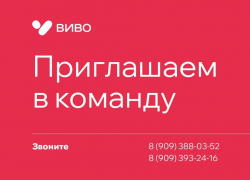 Надежный работодатель «ВивоМаркет» предлагает стабильность и перспективы