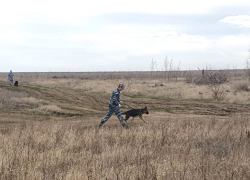 В Волгоградской области пропали 170 детей 