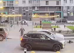 Малыша на самокате снесла машина в Волгограде, отец ударил водителя: видео 