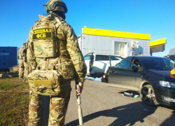 Черную икру и осетровых по-крупному изъяли в Волгограде