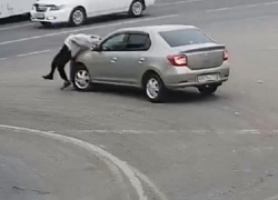 Зазевавшийся водитель въехал четко в ожидающую «зеленый» пенсионерку в Волгограде: видео