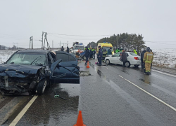 На трассе - жуткое месиво: волгоградская семья погибла в Подмосковье