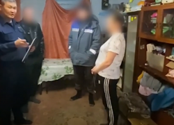 Волгоградка истязала племянника, пока его мать была в больнице