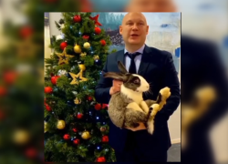 Депутат волгоградской гордумы записал поздравление, держа за шкирку испуганный символ года