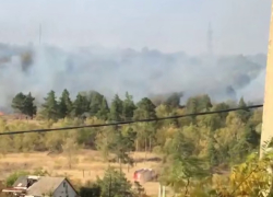 Пожар в закрытой усадьбе «Сосновый бор» сняли на видео волгоградцы