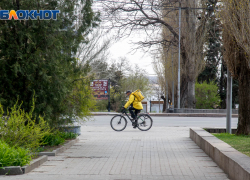 За год средние предлагаемые зарплаты в Волгоградской области увеличились всего на 700 рублей
