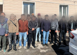 Прибывших на поезде из Ташкента мигрантов массово проверили под Волгоградом 