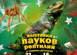 Пауки встречают Новый год: волгоградцев зовут на необычную выставку!