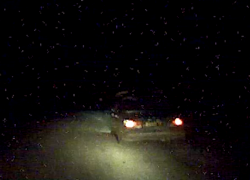 В Волгоградской области во время погони открыли стрельбу: видео