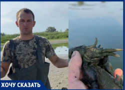Раки сварились в озере в 40-градусную жару под Волгоградом
