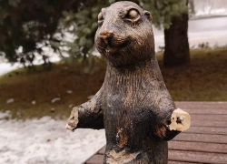 Обломавшего лапы суслику арестовали в Волжском 