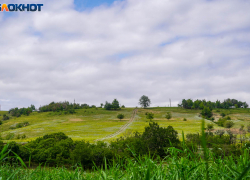 Волгоградец купил за 16 тысяч участок стоимостью более миллиона 