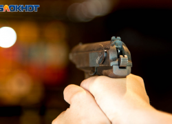 Волгоградец подстрелил мать в попытке прогнать лису