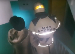 Из горящей многоэтажки в центре Волгограда спасли 20 жильцов с детьми и котами 