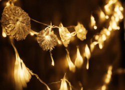 Новогодняя гирлянда чуть не убила школьника в Волгограде 