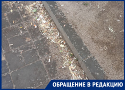 Волгоградцы пожаловались на горы окурков на остановках