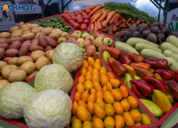 Резкий ценовой шторм в продуктовых магазинах зафиксирован в Волгограде: борщ против салата