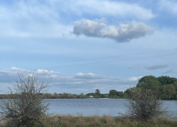 Человеческий скелет выловили волгоградские рыбаки