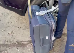 Чемодан черной икры нашли у пассажира из аэропорта Волгограда: задержание сняли на видео