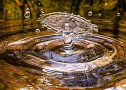 В Урюпинском районе водитель «Лады» скончался в утонувшем в озере автомобиле