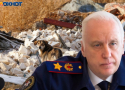 Бастрыкину снова пожаловались на озверевших волгоградских собак