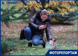 Пушистые гостьи с непростой историей: кадры тайной жизни белок с Мамаева кургана