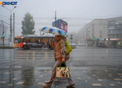 Мигранты, инвестиции, поддержка участников СВО: волгоградские депутаты готовятся спросить с власти о наболевшем