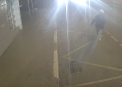 Решил поиграть в супергероя: странная пробежка под колеса авто под Волгоградом попала на видео 