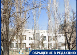 «Не пускают родителей на утренник»: волгоградка возмущена порядками в детсаду