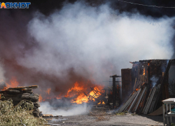 Волгоградец избил собутыльника и оставил умирать в горящей квартире