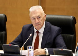 «Диверсанта» пытался вычислить председатель Волгоблдумы Блошкин на предновогоднем заседании