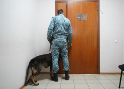 Похитившей более 6 млн волгоградской чиновнице отсрочили приговор