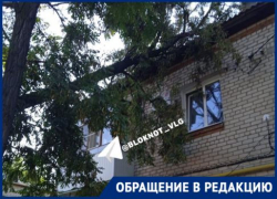 Ураган обрушил дерево на крышу МКД в Волгограде