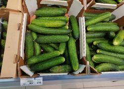 Продукт-рекордсмен по снижению цены найден в Волгограде