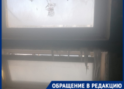Волгоградцев проверяют на стойкость в пыточном подъезде: видео