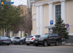 С местом для постройки межвузовского кампуса мирового уровня определились в Волгограде