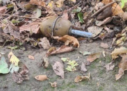 Похожий на гранату предмет нашли у детского сада в Волгограде