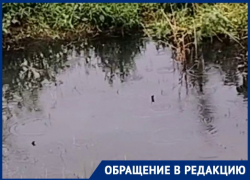 Фекальное болото со смрадом появилось в популярном месте Волгограда