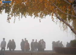 Объяснение удушающему смогу дали в Волгоградской области