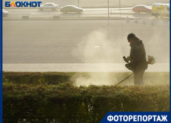 Густой туман стал предвестником резкого потепления в Волгограде