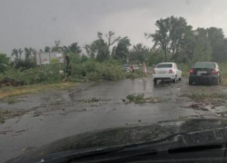 Под Волгоградом ураган завалил деревьями автодорогу