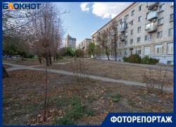 Здесь все пропитано кровью: пафосно высаженный с вице-губернатором "Сад памяти" исчез в Волгограде