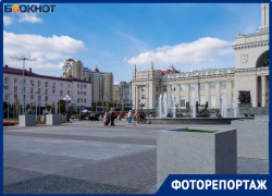 Пальмы исчезли с обновленной Привокзальной площади в Волгограде 