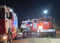 Погибли около 20 собак, остальных ловят по округе после большого пожара в волгоградском приюте