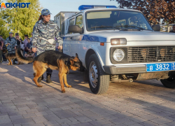Аноним всколыхнул кинологов и полицию сообщением о заминированном доме в Волгограде 
